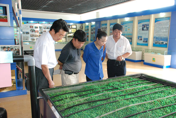 DSC_0397 首页 | 304am永利集团有限公司官网