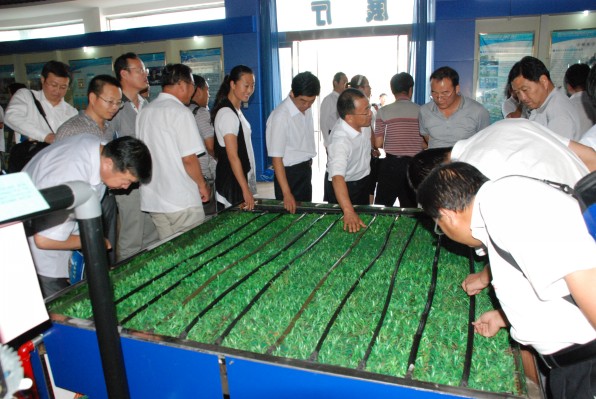 conew_dsc_0479 首页 | 304am永利集团有限公司官网