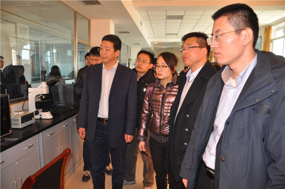 003 首页 | 304am永利集团有限公司官网