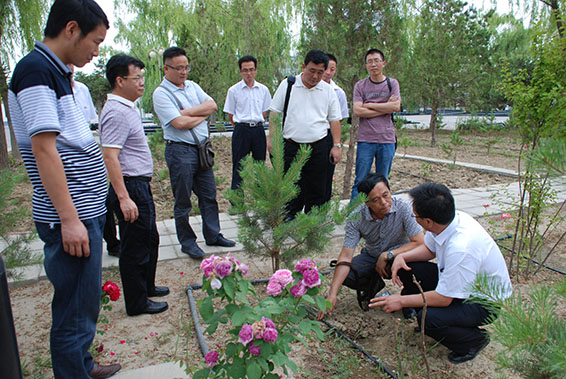 6 首页 | 304am永利集团有限公司官网