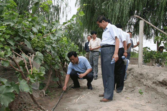 01 首页 | 304am永利集团有限公司官网