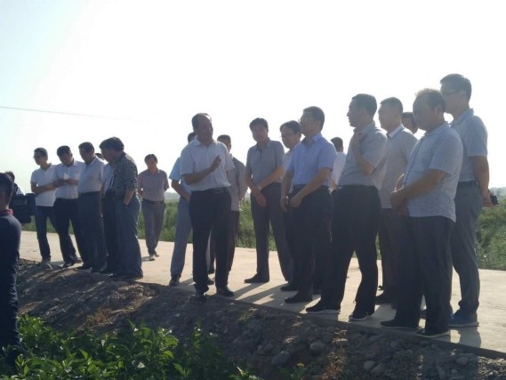 20160806201335742003