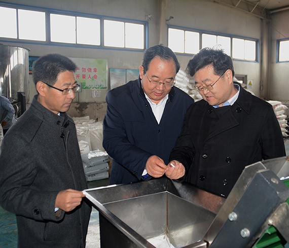 20161118172946875001