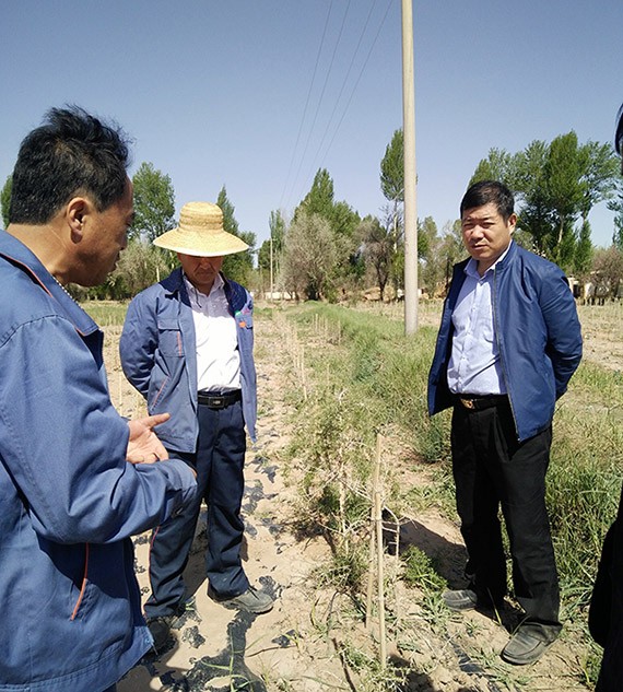 20170505161850485001