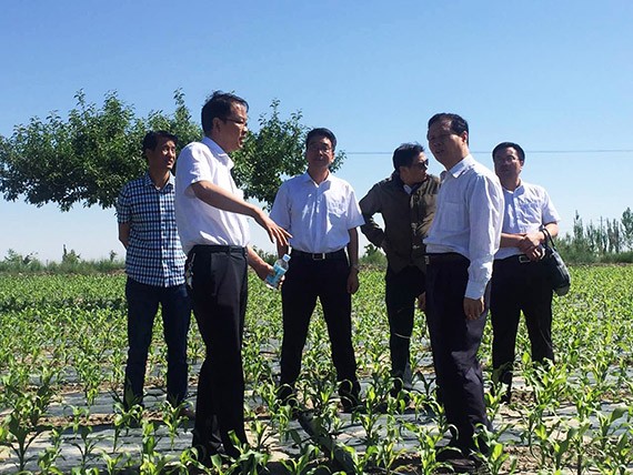 20170608203035594002