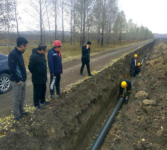 20171010113557213019 20171010113557213019