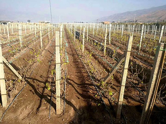 20180215095923120 20180215095923120