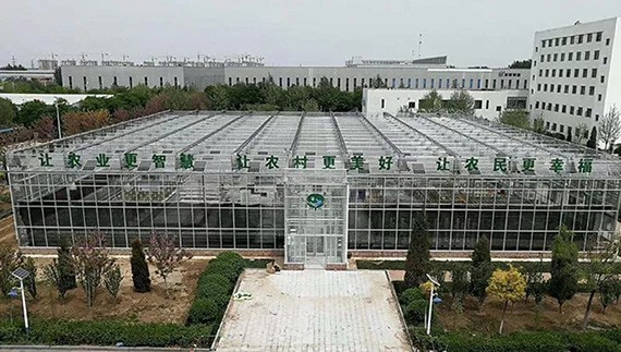 20180511205459102005 20180511205459102005