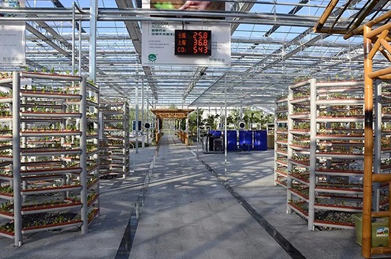 20180511205459468006 20180511205459468006