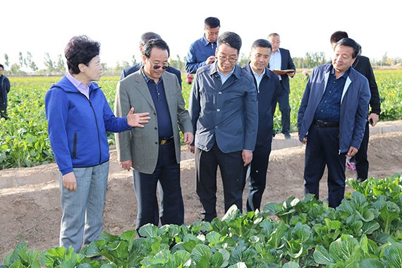 20181009135833539001