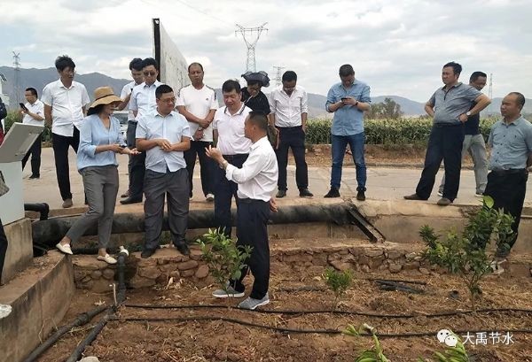 20190606142846381002_s