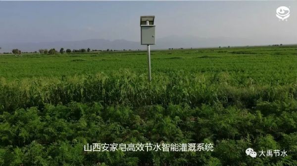 20190617090246338011_s