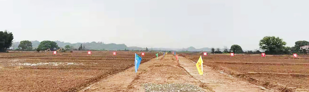 20210318091903744003