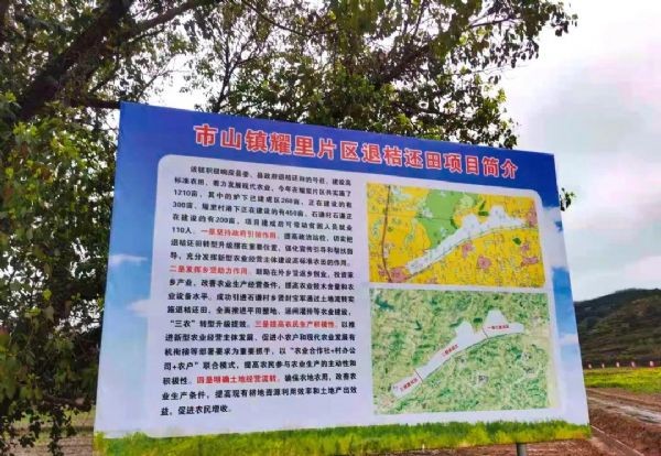 20210318091903797004_s