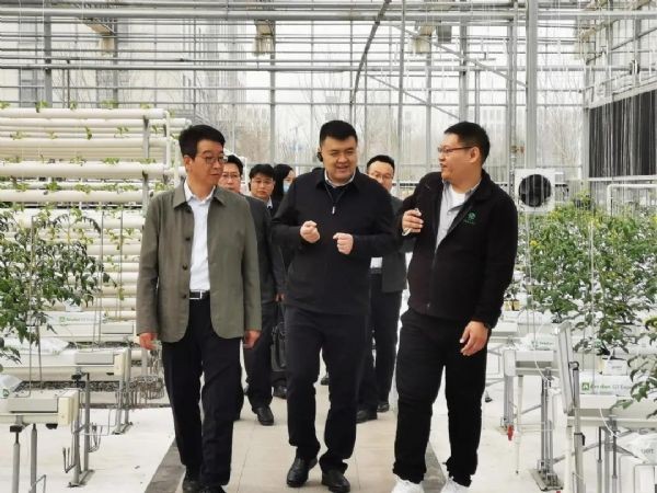 20210322130939813005_s