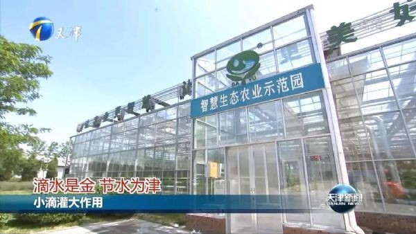 20210610152813124002_s