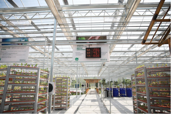 20230117154811315006