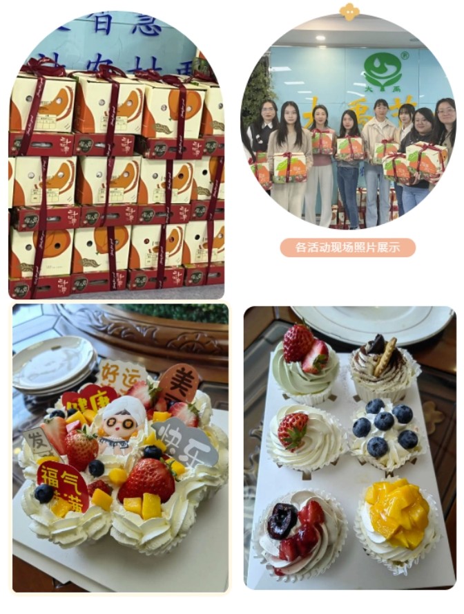 20240409094514859011 20240409094514859011