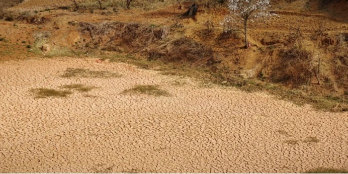 20240606142159248001