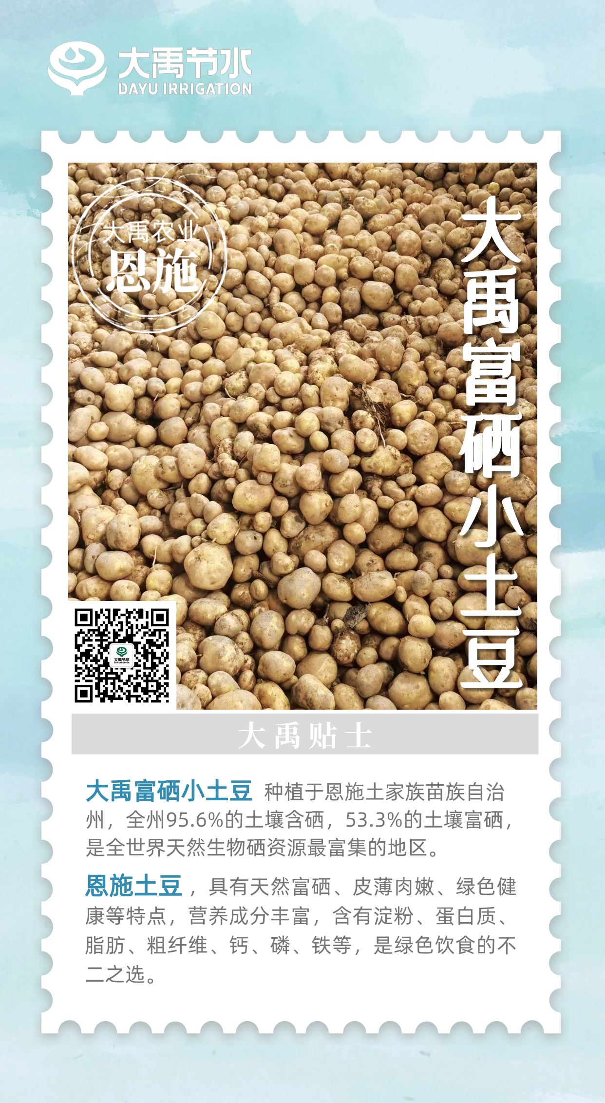 20240724110134936001