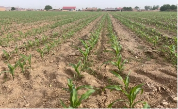 20240807093921101003