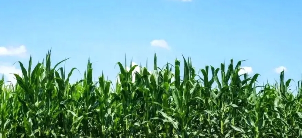 20240807093921828008