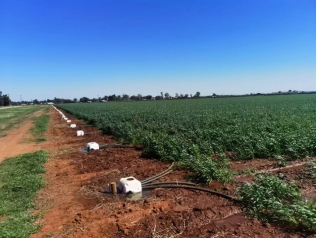 20241008105552893008 20241008105552893008