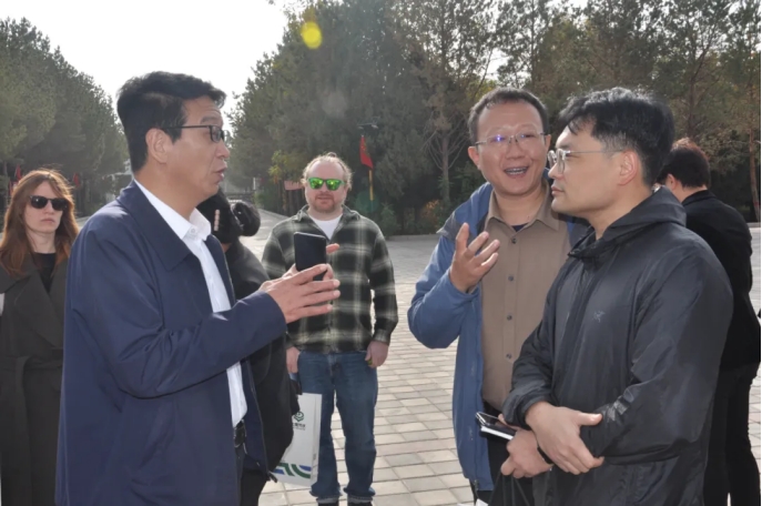 20241113141729917007 20241113141729917007