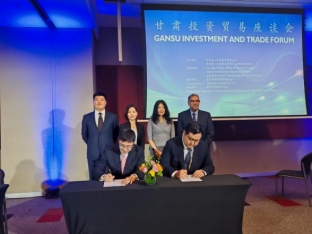 20241113142203904004