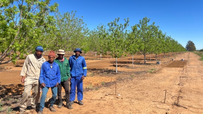 20241113142204245008