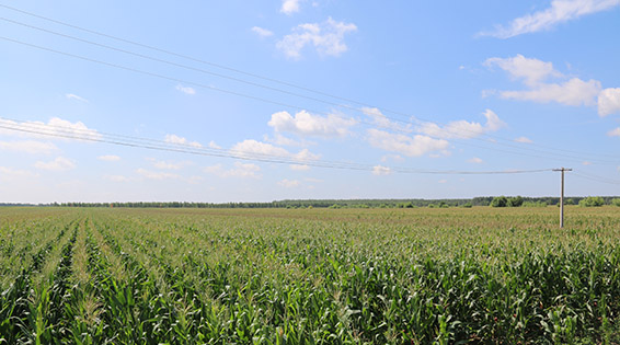 ��ҳ | 304am�����������޹�˾����