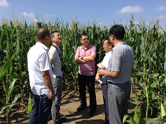 ��ҳ | 304am�����������޹�˾����