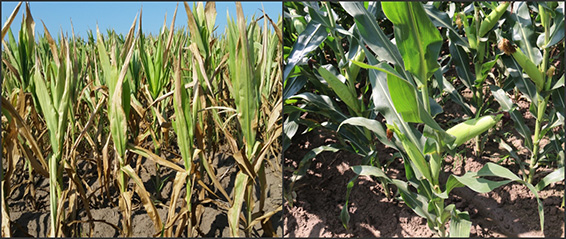 ��ҳ | 304am�����������޹�˾����