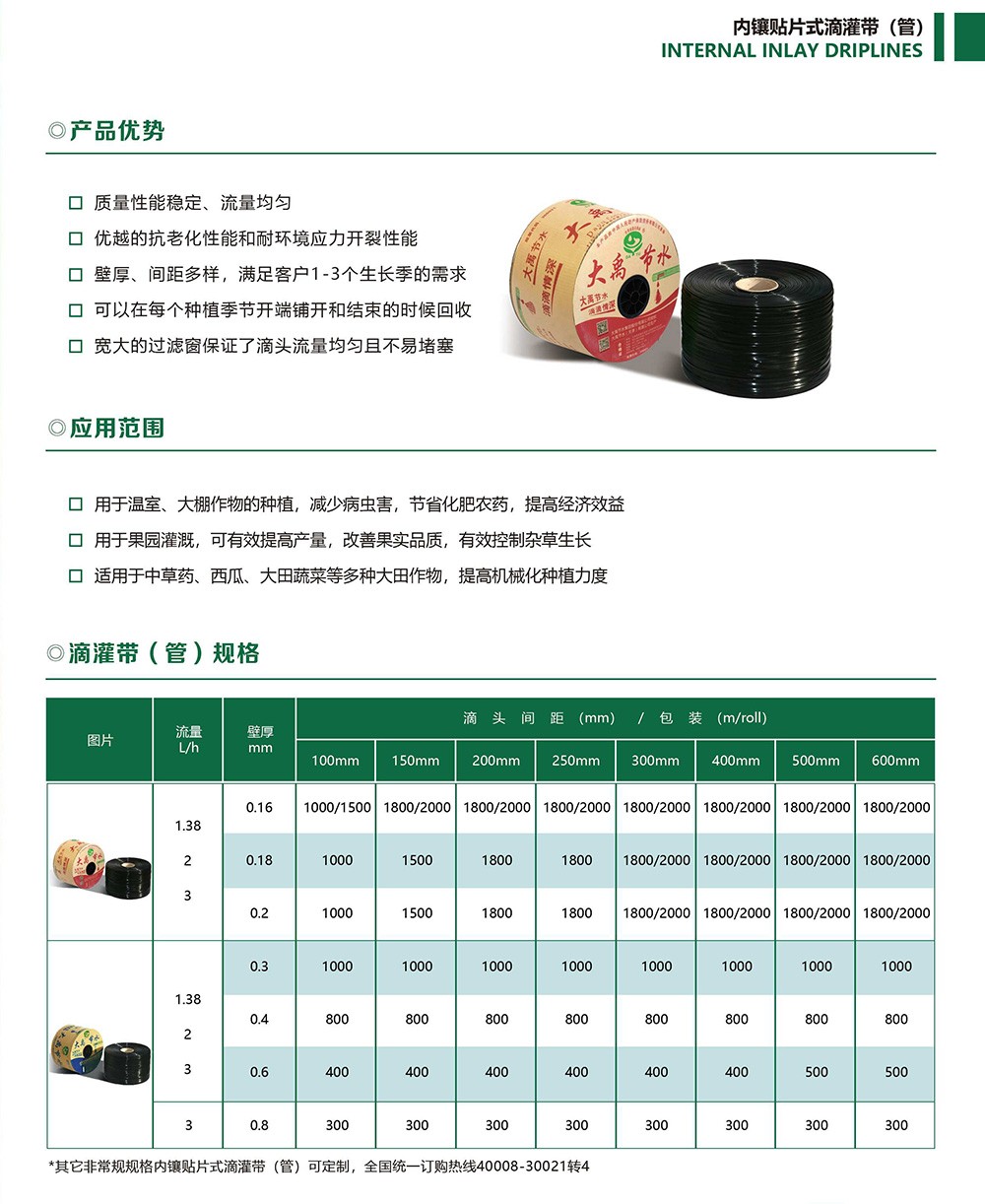 20241118155217_259043