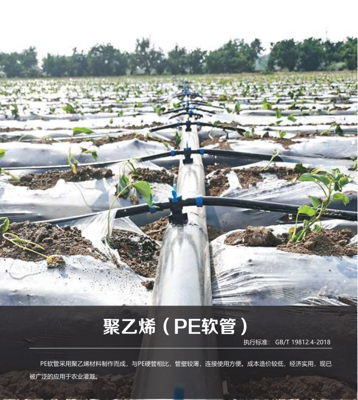 202307031688376809610728