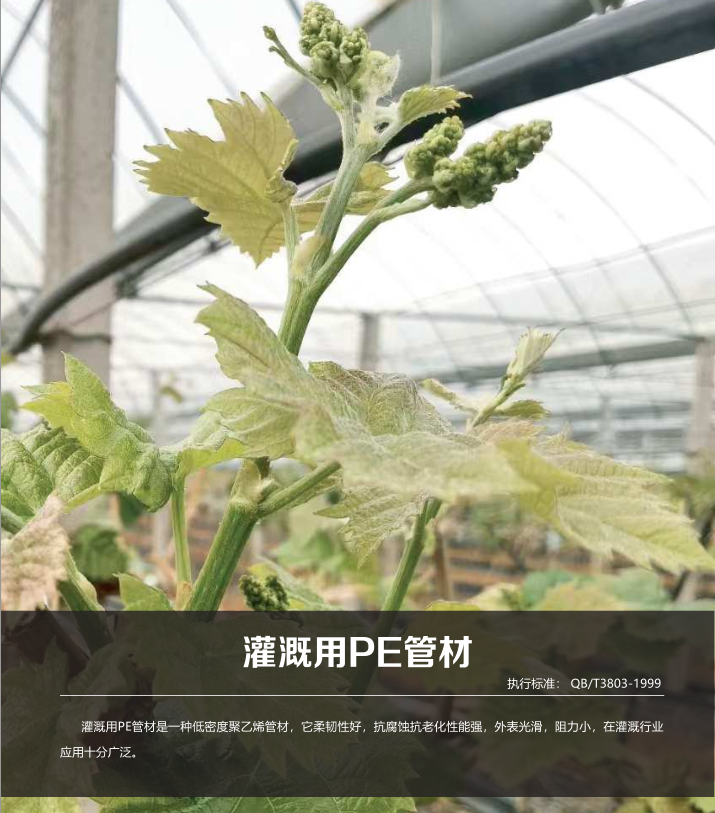 202307031688378372793783