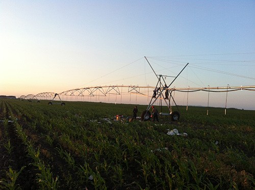 20241118155329_169212