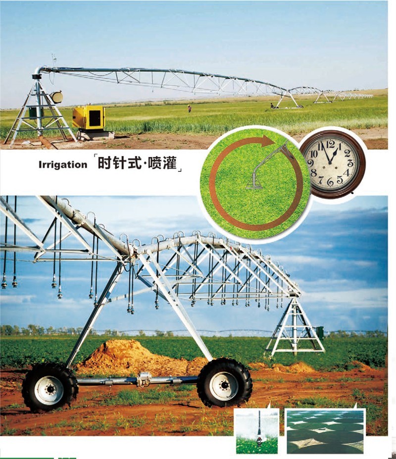 20241118155330_982645