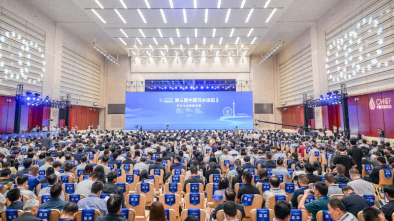 202411181731924196858350