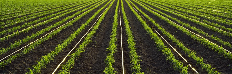 20241119173914_899888