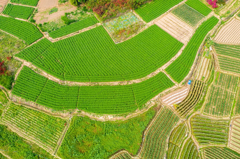 20241119173914_968119