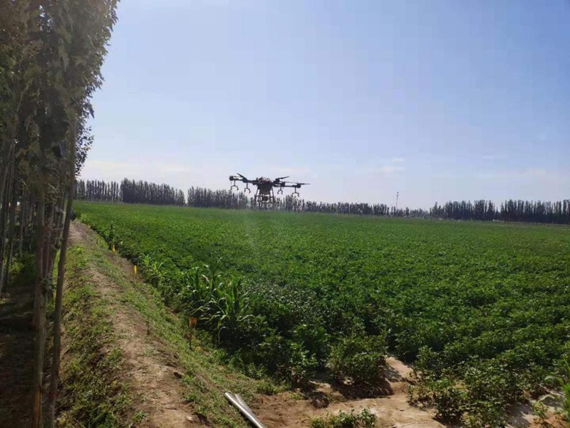 20241119174005_551384