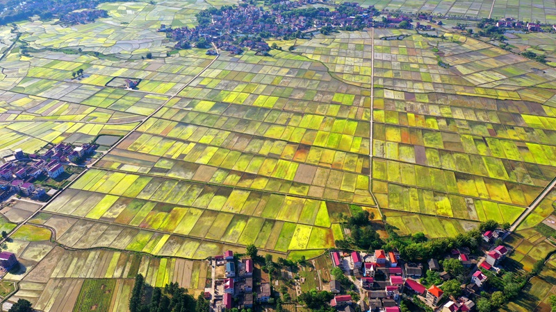 20241119174008_294803