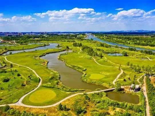 202412041733297738524191