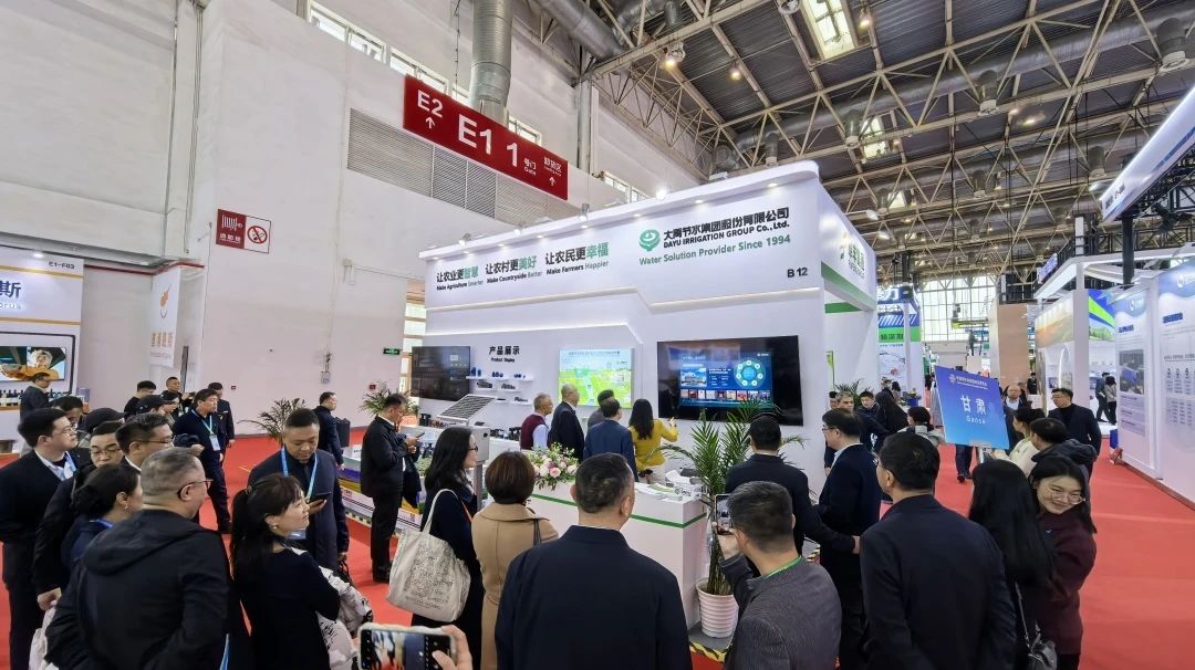 202412061733452910354600 202412061733452910354600