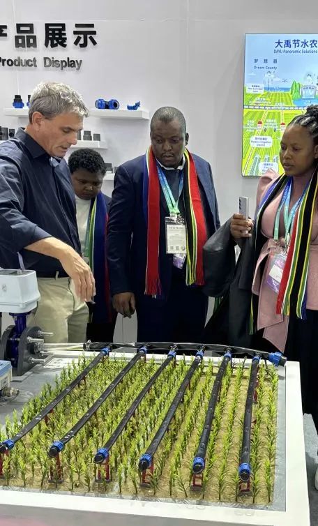 202412061733453072130971 202412061733453072130971