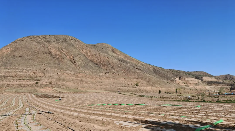 202505281748417647945450.png image.png