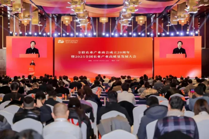 202602041770198574686650