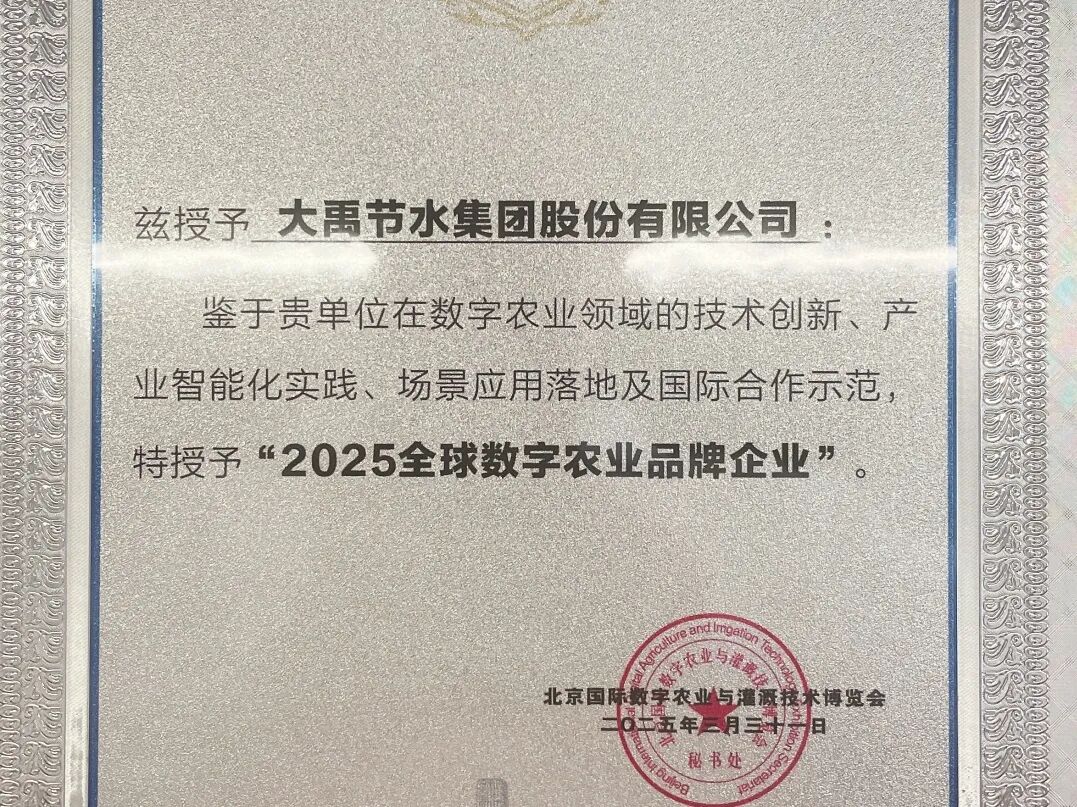 202602051770266130590343