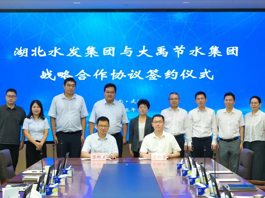 202602051770266702433091